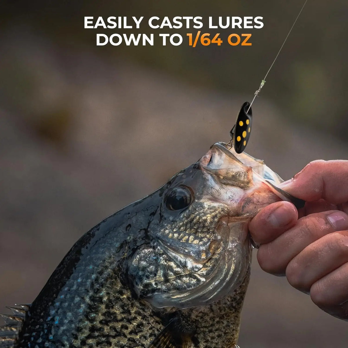 Zephyr Graphite Ultralight BFS Baitcasting and Spinning Fishing Rod